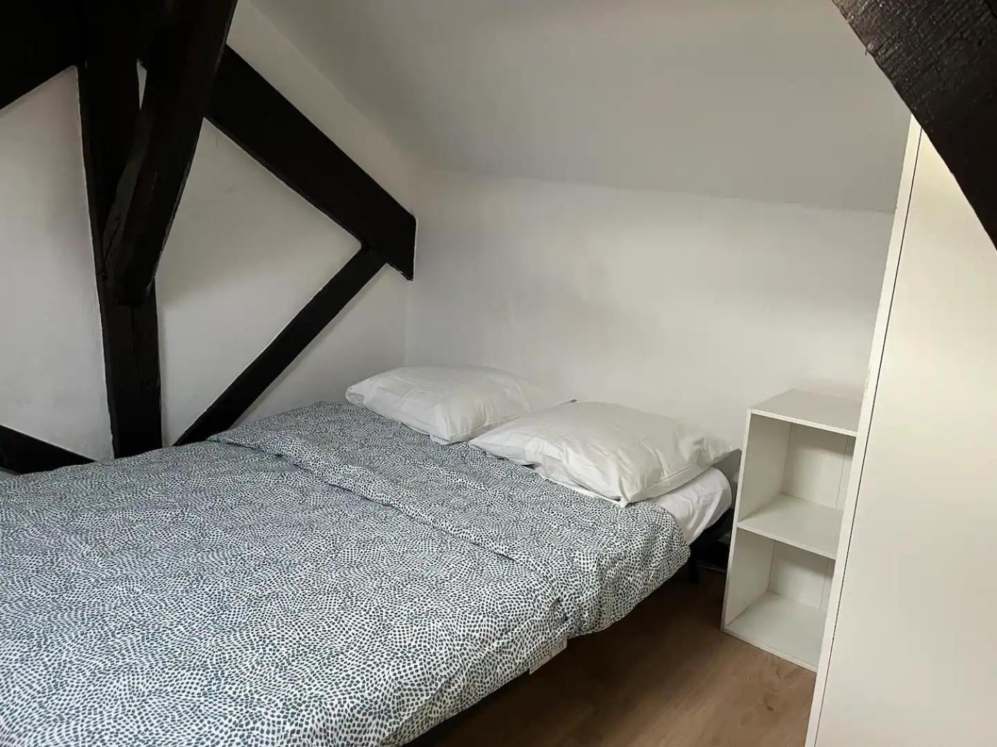T3 Coeur De Apartment Orleans