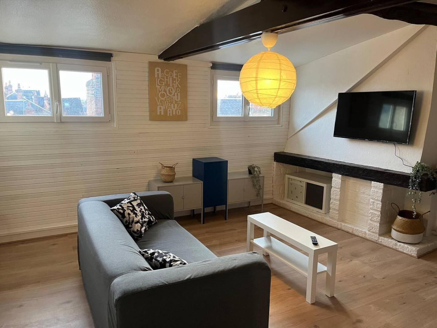 Apartment T3 Coeur De Orleans